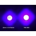 uvHQ 100 LED UV Flashlight